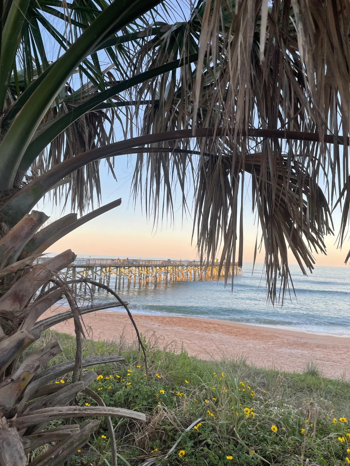 Maritime dock and deck